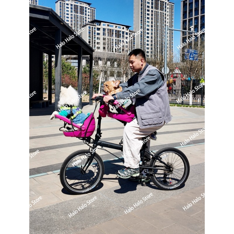 Küçük Bez Katlanır Bisikletler - Mountain Biking With Dog incelemesi ve fiyatı
